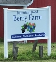Baumhart Road Blueberry Farm